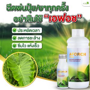 เอฟอช (AFORCH) สารจับใบ สารเร่งการดูดซึม 1 ลิตร