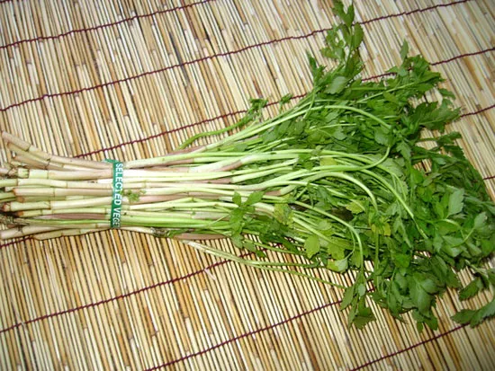 Daun%20Seladren/%20Tespong%20Segar%20500%20gram%20-%20Image%203
