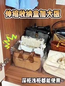 Hicus Multi Functional Transparent Bag Storage-Detachable Grib Divider for Wardroble Organization