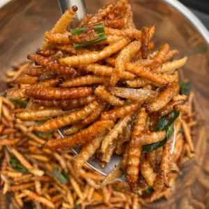 รถด่วนทอด หนอนไม้ไผ่ แมลงทอดซู่ซ่า ทอดตามออเดอร์ สด ใหม่ ทุกวัน หนอน ไม้ไผ่ หนอนไม้ไผ่ ราคา หนอนไม้ไผ่ ซื้อที่ไหน - Lazada