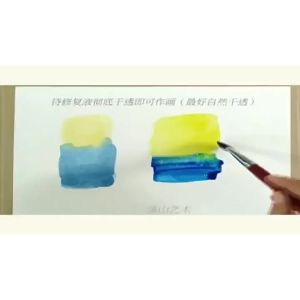 260ml/chai Dung dịch sửa chữa giấy màu nước cho việc sửa chữa chuyên nghiệp giấy màu nước khử keo chống ẩm và rò rỉ alum