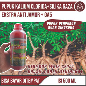 Pupuk Ajaib PERBANYAK BUAH SINGKONG KCL PLUS GAZA Panen Singkong Lebih Banyak dan Besar Pupuk NPK Cair Paling Manjur Tinggal Semprot Padi Langsung Lebat dan Berat - Pupuk Organik Terbaik Pelebat Anakan Padi Hasil Panen Maksimal 100% ORIGINAL