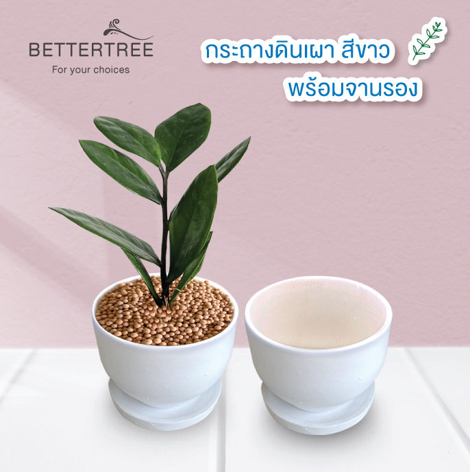 กระถางดินเผาสีขาว 3.5 นิ้ว พร้อมจานรอง สไตล์มินิมอล