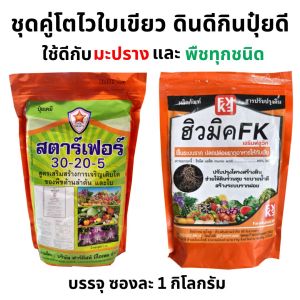 ปุ๋ยมะปราง โตไว ใบเขียว แข็งแรง ดินดี รากแข็งแรง พืชกินปุ๋ยได้ดีขึ้น ฮิวมิคFK และปุ๋ยสตาร์เฟอร์
