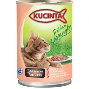 Kucinta 2024 wet food