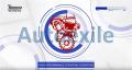 Busi Motor NGK IRIDIUM IX CR9EIX Made in Japan Yamaha YZF R15 R25 MT25 WR250 Bajaj Pulsar 180 200 220 XCD125 Kawasaki ER6N Versys Ninja 650 1000 ZX6R ZX10R ZX14R Z1000 KTM 250EXC 250EXC-F 250SX-F 450SX-F. 