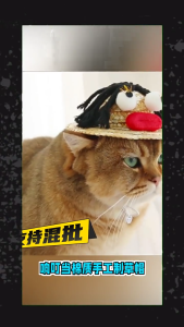 Festival Pet Straw Hat Adjusting Neckstrap Dog Dress Up Caps RolePlaying Costume Hat Summer Hat Cats Photo Hat