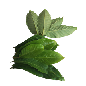 Crafty BANABA LEAVES PACK 100G fresh