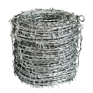 BARBED WIRE FENCE ANTI-CLIMB ANTI-RUST DOUBLE STRAND ELECTRO GALVANIZED/HOT DIPPED GALVANIZED FENCE 2.0mm 2.5mm WIRE #12 WIRE#14 / SECURITY FENCE / ANTI-THEFT FENCE / PROTECTION FENCE