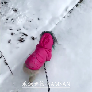 Warm Dog Clothes for Small Medium Dog Windproof Cat Jackets Pet Clothing for Kitten Outdoor Walking Costume Coat Winter