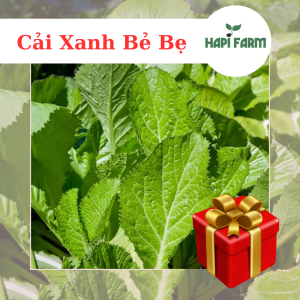 Hạt Giống Rau Cải Bẹ Xanh Bẻ Bẹ TR02