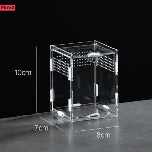[LIXIAOJU] Acrylic Transparent Reptile Breeding Box Terrarium Habitat Insect Spider Lizard Scorpion Feeding Cage Arboreal Enclosure Case