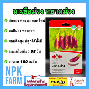 ศรแดง มะเขือม่วง หยาดม่วง จำนวน 150 เมล็ด  หมดอายุ 28/02/2569 มะเขือลูกลิง สีม่วง ทรงผลสวย ขนาดผลยาว 10-12ซม. ผลผลิตดี ปลูกง่ายได้ตลอดทั้งปี