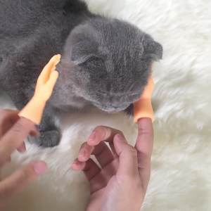 Găng ngón tay tay nhỏ cho hình bàn tay kiểu xách tay phẳng vui Mini Tay thu nhỏ trêu chọc con rối ngón tay mèo con Trái phải han