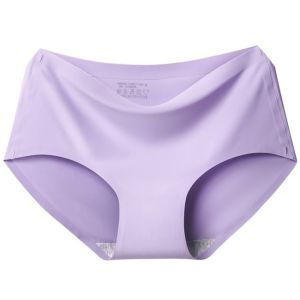 Women’s Seamless Panties Ice Silk Comfortable Underwear Travel Hotel Daily Use Holidays Staycations
