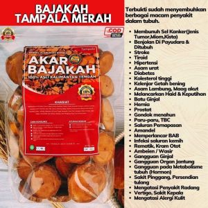 BAJAKAH KALIMANTAN /TEH /AKAR BAJAKAH KALALAWIT MERAH