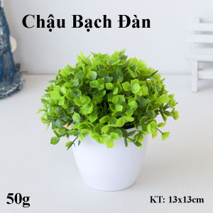 Cây Giả Trang Trí Nhà Cửa Lá Rủ Nhựa Mềm Kèm Chậu Để Bàn Cây Rủ Lá Nhựa Giả Mini Trang Trí Để Bàn Nhẹ Bền Thẩm Mỹ Cao