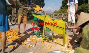 Máy tẻ ngô mini tách sạch 95%