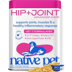 Native Pet Hip & Joint Advanced Care Dog Joint Supplement Powder for Mobility & Movement Support Joint Supplement for Dogs with HMB UC-II Collagen Green Lipped Mussel & Hyaluronic Acid