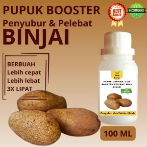 Pupuk Binjai Cepat Berbuah / Pupuk Pelebat Buah Binjai / Pupuk Booster Binjai Cair
