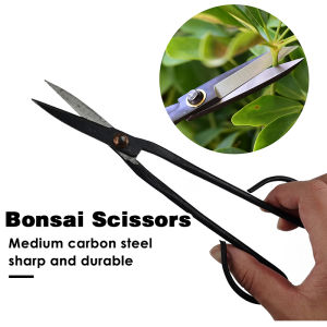 Long Handle Pruning Shears: The Ultimate Bonsai Scissors