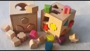 Kids Wooden Montessori Toys Rainbow Shapes Matched Beech Nature Geometric Blocks Educational Play
