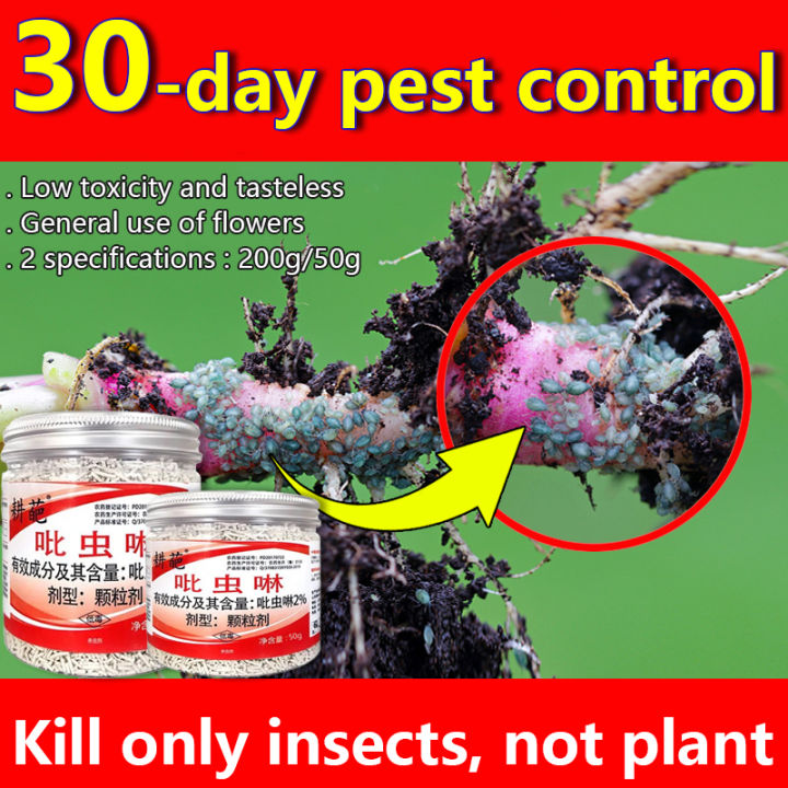 🐛Pest prevention for 30 days🌻pesticides for plant 50g/200g organic pesticides for plants insecticide for vegetables 2% imidacloprid for aphids sucking and chewing pesticide insecticide insecticide for vegetables natural organic pest control