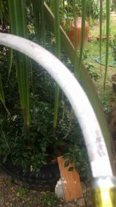 COMBO 10 CÂY LIỀM CÁN GỖ SIÊU BÉN.