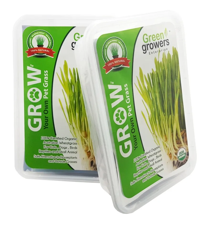 2x Green Growers Pet Grass Self Grow Kit 100% Natural Pet Grass