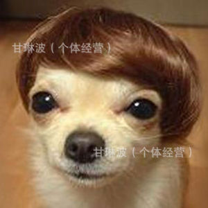 Long Straight Cosplay Wig Popularof the year: headwear and wigs Funny Fashionable Wig Headwear for violet character costume wig long synthetic-look cosplay hairpiece Daily Organisation