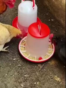 1.5KG Automatic Chicken Feeder Drinker Durable Plastic Farm Poultry Breeding Food Dispenser