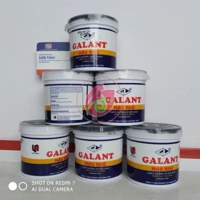 Ve màu nhũ Galant màu Đen 225ml sơn nước