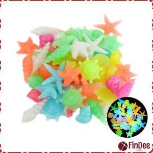 FinDee หินเรืองแสง รูปหอยสังข์ ตกแต่งสวน หรือตู้ปลา ขนาดหิน 2-3cm luminous stone