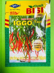 Mantap!! Benih Cabai Hibrida F1 IGGO TAVI isi 10gr dari Cap Kapal Terbang
