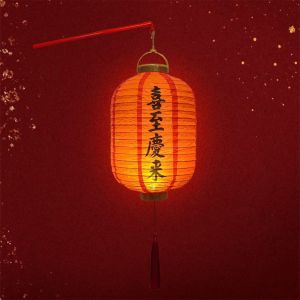 NovaWear 中秋节灯笼 With Handle Chinese Lantern DIY Materials Good Luck With Lighting New Year Lantern Decors Portable Luminous Lantern Lamp Kits Photography Props