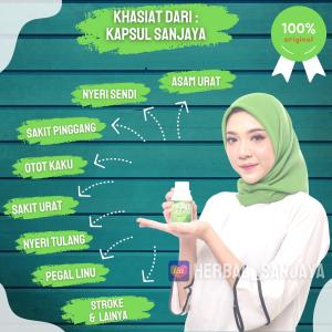 Kapsul Sanjaya Isi 14: Obat Asam Urat, Pegal Linu, Sakit Pinggang, Stroke Ringan & Rheumatik