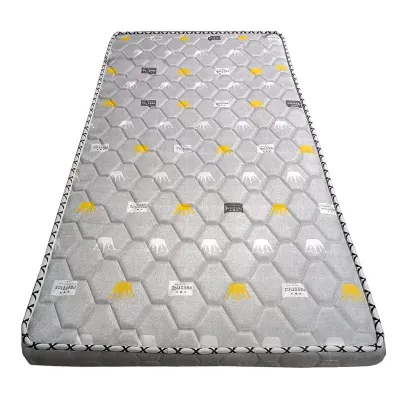 [3S FURNITURE] Foldable Portable Palm Coconut Mattress Antibacterial For Student and Worker * FREE DELIVERY *