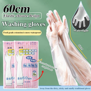 Extra Long Durable Disposable Food Grade Plastic Kitchen Gloves[10pcs/bag ]Food grade thickened washing waterproof and oil-proof gloves/kitchen housework gloves/durable womens oil-proof gloves超長防水防油洗衣手套