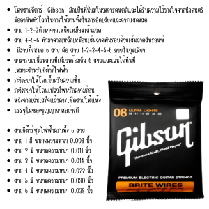 สายกีตาร์ สาย กีตาร์ ดนตรี แนะนำสายกีตาร์ สายกีตาร์ไฟฟ้า สายกีตาร์โปร่ง D’Addario Gibson สายกีต้าร์คลาสสิค กีต้าร์ หมุดกีต้าร์ หย่องกีต้าร์ ลูกบิดกีต้าร์ ปิ๊กกีต้าร์