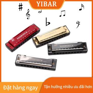 YIBAR Bộ ghép hình cơ quan Miệng kèn harmonica 10 lỗ nhạc cụ dạy học cho người mới bắt đầu