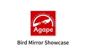 กระจกนก Agape สำหรับกรง, ของเล่นนกพร้อมที่นั่งและที่ให้อาหารช้าเพื่อใช้พลังงาน, ชิงช้าสำหรับนกแก้วขนาดเล็ก, ของเล่นแบบโต้ตอบสำหรับนกค็อกคาเทล, นกเลิฟเบิร์ด, นกพาราคีต, นกคอนัวร์, นกฟินช์ และนกบัดจี้