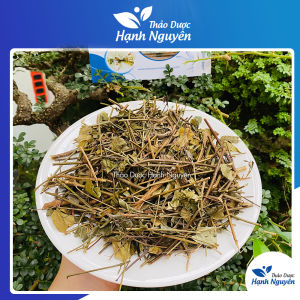 Chè Vằng Lá Sẻ xanh đẹp_500gr-1kg [Organic]