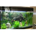 Boyu Fish Tank Fish Globe Hd Glass Small and Medium Size Aquarium Living Room Desktop Ecological Small Fish Tank 1 M 1.2 M. 