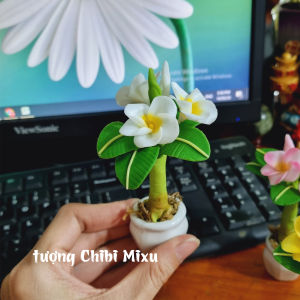Chậu hoa sứ mini bằng đất sét Nhật tự khô