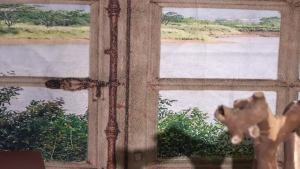 Ornalrist Purple Crystal Forget Me Not Flowers Gifts for Women Mom Meaningful Remembrance Gifts Birthday Gifts for Friend Sister Glass Forget-Me-Not Flowers Figurines Collectibles