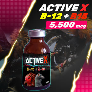 ACTIVEX B12+B15 5500mcg