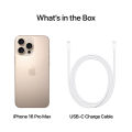 Apple iPhone 16 Pro Max. 
