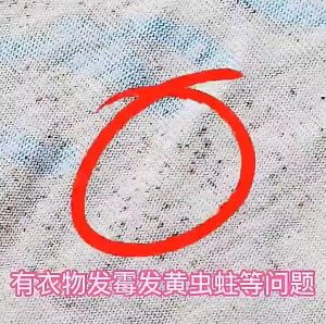 24pcs/48pcs Japan Moth Balls Rose Fragrance for Clothes Camphor Balls Repellent Closet Deodorizer PAZU