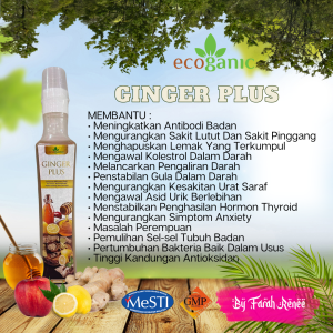 Wellness Corne Free Gift Ecoganic Ginger Plus Garlic Booster Original Halia Bentong Madu Tualang Enzyme Halia Madu Jantan Bawang Putih