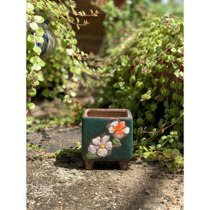 Chậu trồng cây sen đá/xương rồng/nhập Trυng men bông hoa 4 kiểu🌻